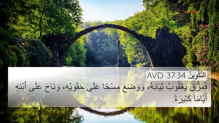 اَلتَّكْوِينُ 37:34 AVD Bible Verse Image