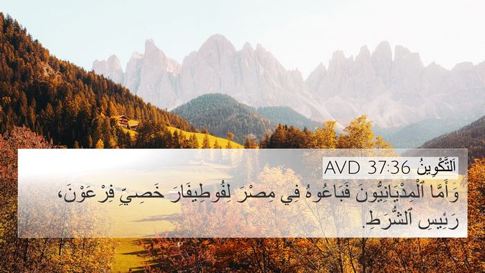 اَلتَّكْوِينُ 37:36 AVD Bible Verse Image