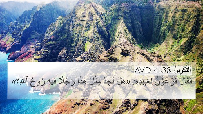اَلتَّكْوِينُ 41:38 AVD Bible Verse Image