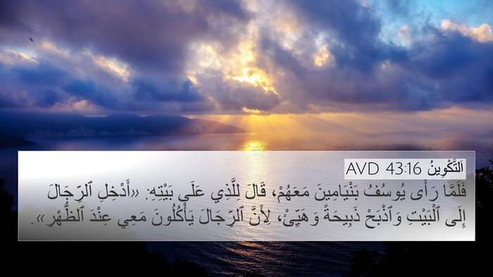 اَلتَّكْوِينُ 43:16 AVD Bible Verse Image