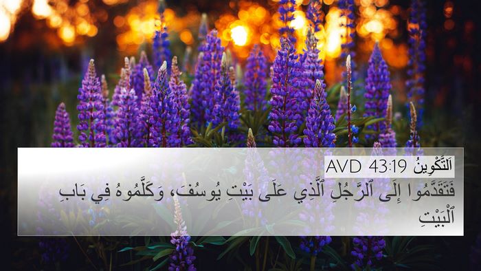 اَلتَّكْوِينُ 43:19 AVD Bible Verse Image