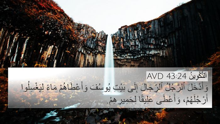 اَلتَّكْوِينُ 43:24 AVD Bible Verse Image