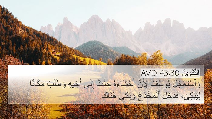 اَلتَّكْوِينُ 43:30 AVD Bible Verse Image