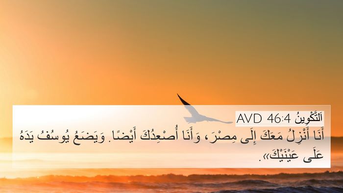 اَلتَّكْوِينُ 46:4 AVD Bible Verse Image