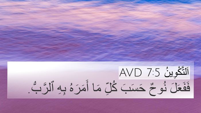 اَلتَّكْوِينُ 7:5 AVD 4K Wallpaper - فَفَعَلَ نُوحٌ حَسَبَ - 4K Wallpaper Bible Verse