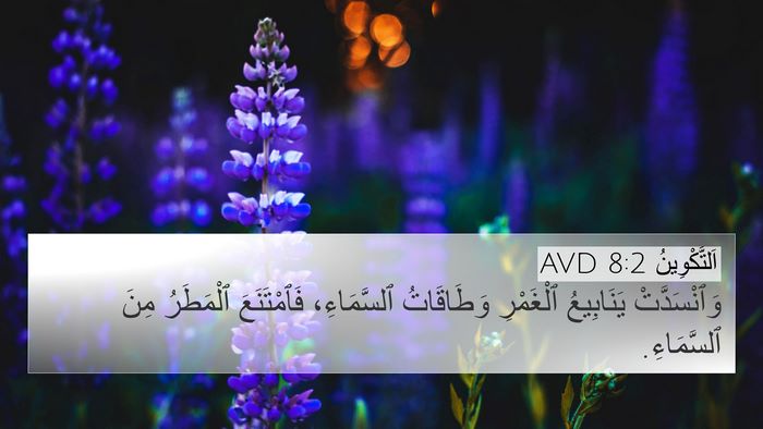 اَلتَّكْوِينُ 8:2 AVD Bible Verse Image