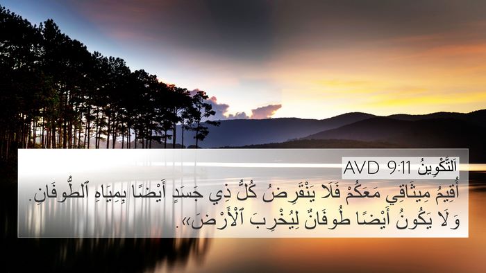 اَلتَّكْوِينُ 9:11 AVD 4K Wallpaper - أُقِيمُ مِيثَاقِي - 4K Wallpaper Bible Verse