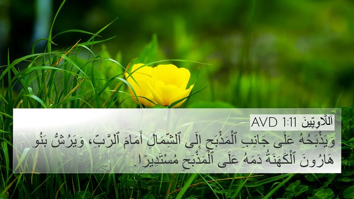 اَللَّاوِيِّينَ 1:11 AVD 4K Wallpaper - وَيَذْبَحُهُ عَلَى - 4K Wallpaper Bible Verse