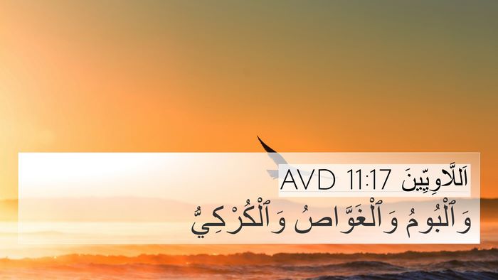 اَللَّاوِيِّينَ 11:17 AVD 4K Wallpaper - وَٱلْبُومُ وَٱلْغَوَّاصُ - 4K Wallpaper Bible Verse
