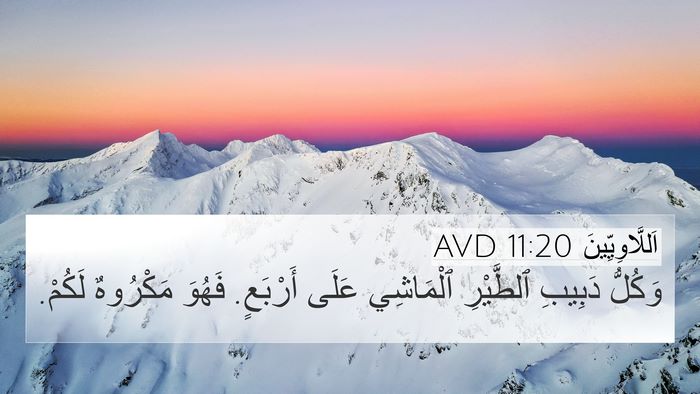 اَللَّاوِيِّينَ 11:20 AVD 4K Wallpaper - وَكُلُّ دَبِيبِ ٱلطَّيْرِ - 4K Wallpaper Bible Verse