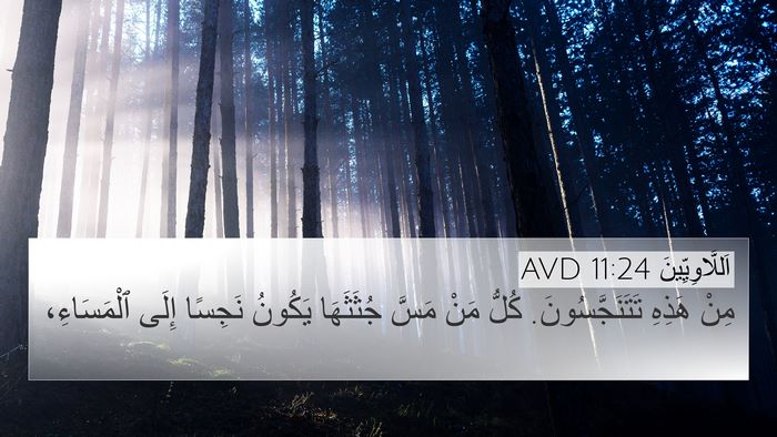 اَللَّاوِيِّينَ 11:24 AVD Bible Verse Image