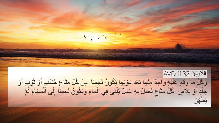 اَللَّاوِيِّينَ 11:32 AVD 4K Wallpaper - وَكُلُّ مَا وَقَعَ - 4K Wallpaper Bible Verse