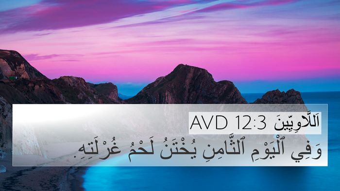 اَللَّاوِيِّينَ 12:3 AVD Bible Verse Image