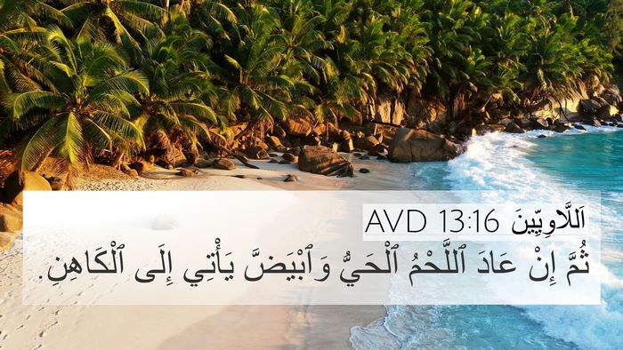 اَللَّاوِيِّينَ 13:16 AVD 4K Wallpaper - ثُمَّ إِنْ عَادَ ٱللَّحْمُ - 4K Wallpaper Bible Verse