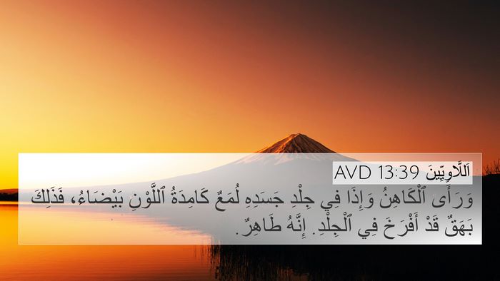 اَللَّاوِيِّينَ 13:39 AVD 4K Wallpaper - وَرَأَى ٱلْكَاهِنُ - 4K Wallpaper Bible Verse
