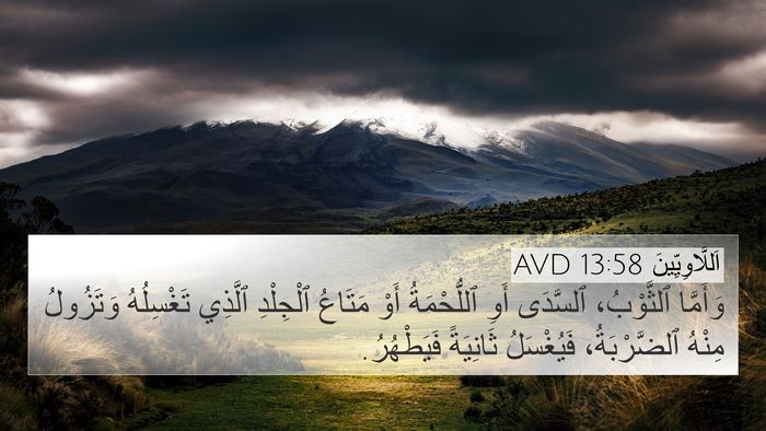 اَللَّاوِيِّينَ 13:58 AVD 4K Wallpaper - وَأَمَّا ٱلثَّوْبُ، - 4K Wallpaper Bible Verse