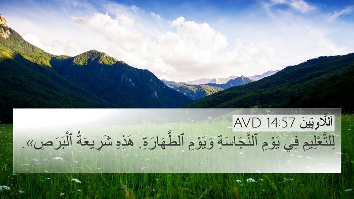 اَللَّاوِيِّينَ 14:57 AVD 4K Wallpaper - لِلتَّعْلِيمِ فِي يَوْمِ - 4K Wallpaper Bible Verse