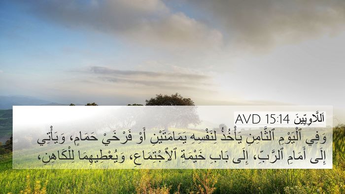 اَللَّاوِيِّينَ 15:14 AVD Bible Verse Image
