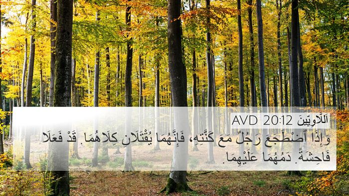اَللَّاوِيِّينَ 20:12 AVD 4K Wallpaper - وَإِذَا ٱضْطَجَعَ رَجُلٌ - 4K Wallpaper Bible Verse