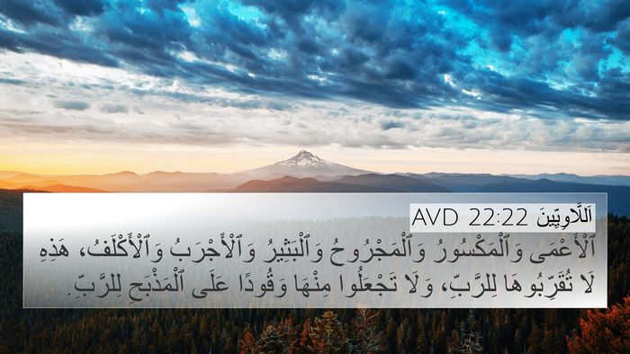 اَللَّاوِيِّينَ 22:22 AVD 4K Wallpaper - ٱلْأَعْمَى وَٱلْمَكْسُورُ - 4K Wallpaper Bible Verse
