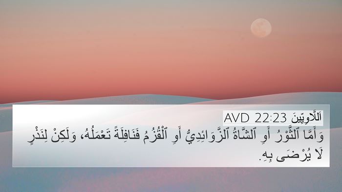 اَللَّاوِيِّينَ 22:23 AVD 4K Wallpaper - وَأَمَّا ٱلثَّوْرُ أَوِ - 4K Wallpaper Bible Verse