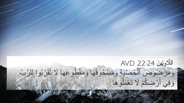 اَللَّاوِيِّينَ 22:24 AVD 4K Wallpaper - وَمَرْضُوضَ ٱلْخِصْيَةِ - 4K Wallpaper Bible Verse