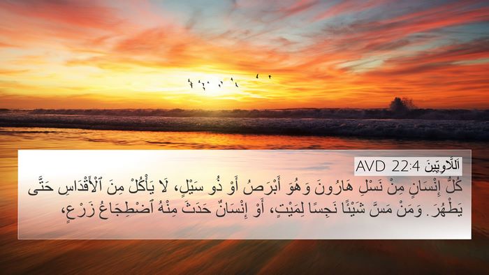 اَللَّاوِيِّينَ 22:4 AVD 4K Wallpaper - كُلُّ إِنْسَانٍ مِنْ - 4K Wallpaper Bible Verse