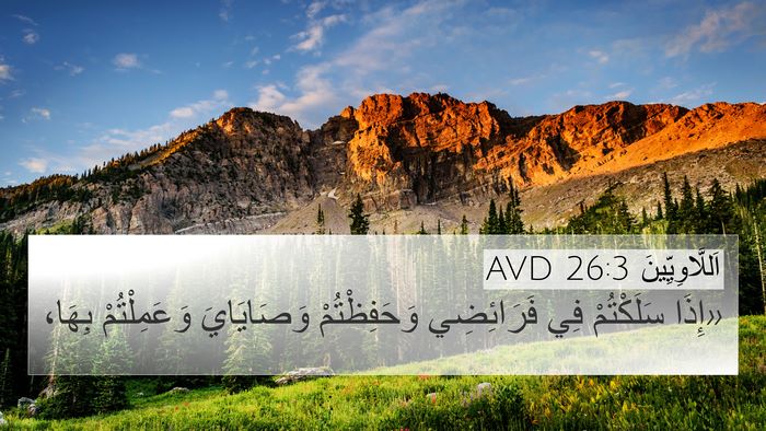اَللَّاوِيِّينَ 26:3 AVD Bible Verse Image