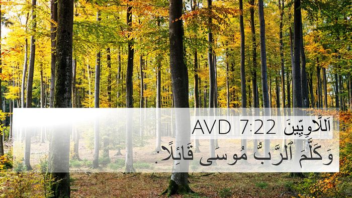 اَللَّاوِيِّينَ 7:22 AVD 4K Wallpaper - وَكَلَّمَ ٱلرَّبُّ مُوسَى - 4K Wallpaper Bible Verse