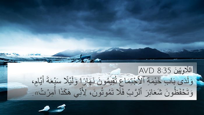 اَللَّاوِيِّينَ 8:35 AVD Bible Verse Image