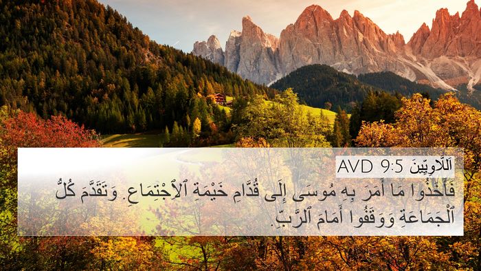 اَللَّاوِيِّينَ 9:5 AVD 4K Wallpaper - فَأَخَذُوا مَا أَمَرَ بِهِ - 4K Wallpaper Bible Verse