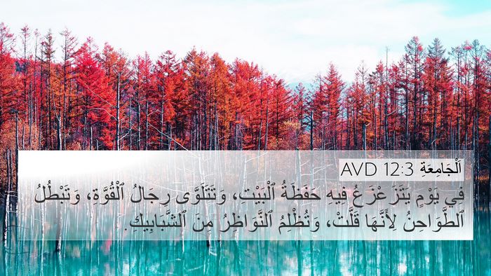 اَلْجَامِعَةِ 12:3 AVD Bible Verse Image