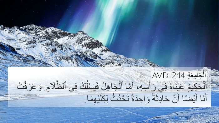 اَلْجَامِعَةِ 2:14 AVD Bible Verse Image