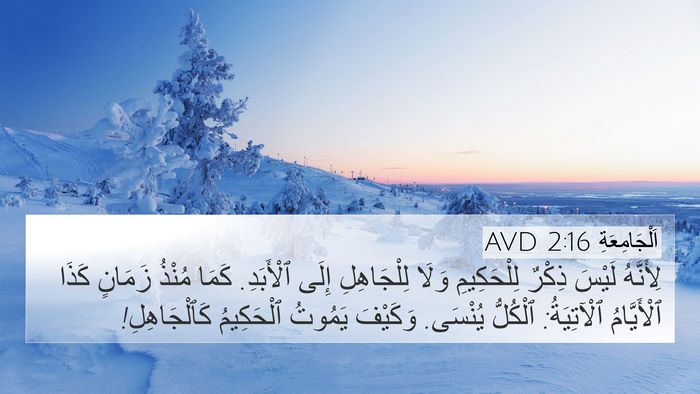 اَلْجَامِعَةِ 2:16 AVD Bible Verse Image
