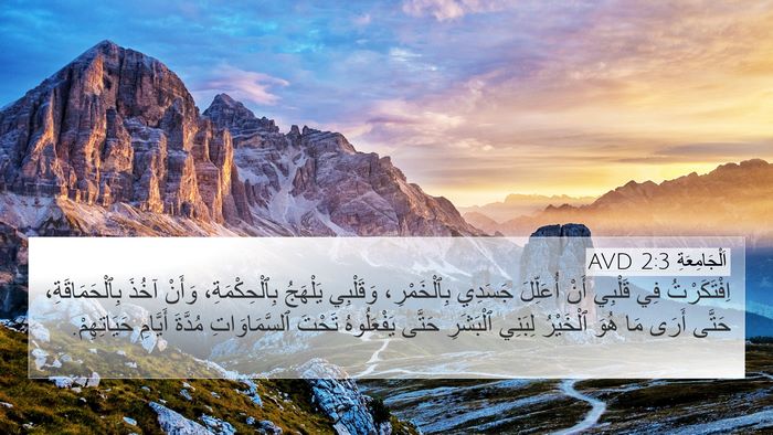 اَلْجَامِعَةِ 2:3 AVD Bible Verse Image