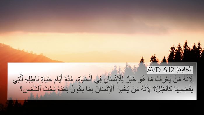 اَلْجَامِعَةِ 6:12 AVD Bible Verse Image