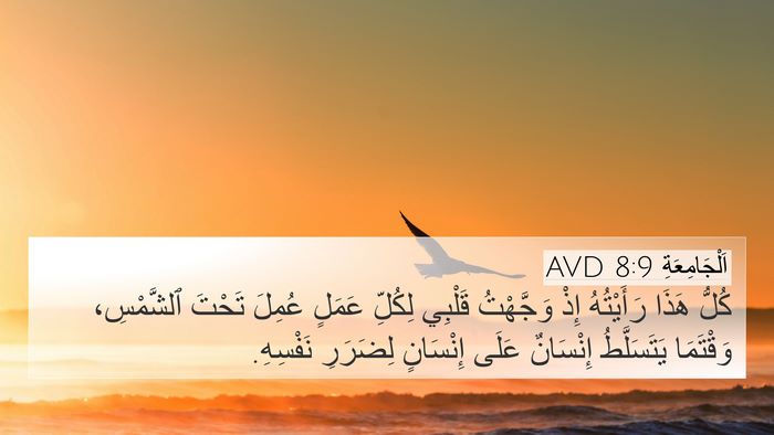اَلْجَامِعَةِ 8:9 AVD Bible Verse Image