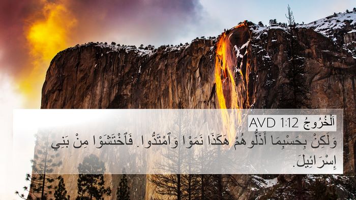 اَلْخُرُوجُ 1:12 AVD Bible Verse Image