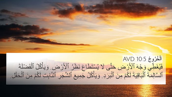 اَلْخُرُوجُ 10:5 AVD 4K Wallpaper - فَيُغَطِّي وَجْهَ - 4K Wallpaper Bible Verse
