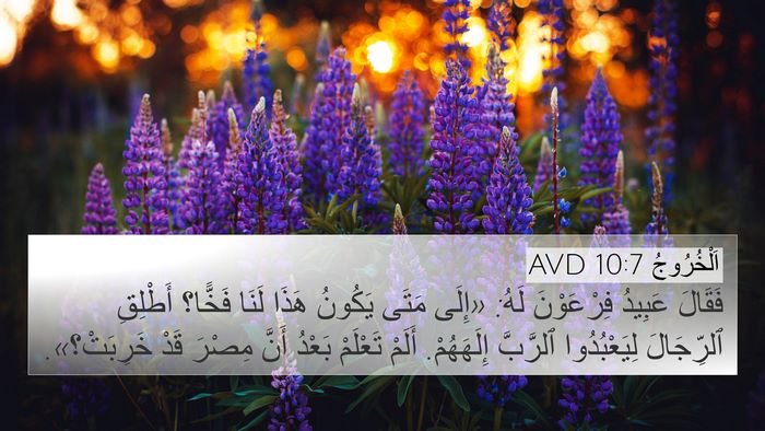 اَلْخُرُوجُ 10:7 AVD Bible Verse Image