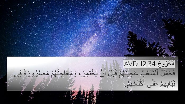 اَلْخُرُوجُ 12:34 AVD Bible Verse Image