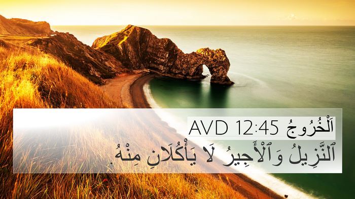 اَلْخُرُوجُ 12:45 AVD 4K Wallpaper - ٱلنَّزِيلُ وَٱلْأَجِيرُ - 4K Wallpaper Bible Verse