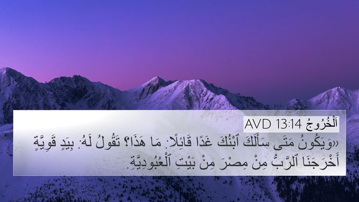 اَلْخُرُوجُ 13:14 AVD Bible Verse Image