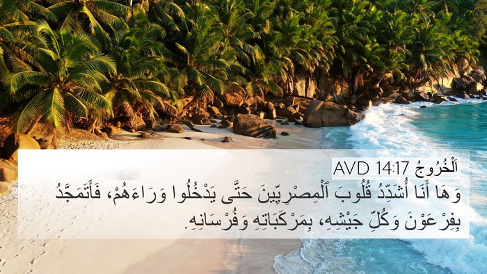 اَلْخُرُوجُ 14:17 AVD Bible Verse Image