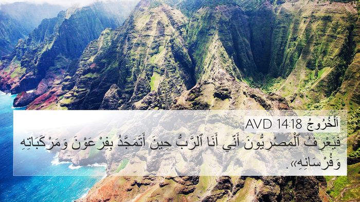 اَلْخُرُوجُ 14:18 AVD Bible Verse Image