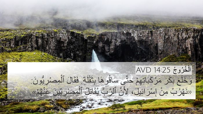 اَلْخُرُوجُ 14:25 AVD Bible Verse Image