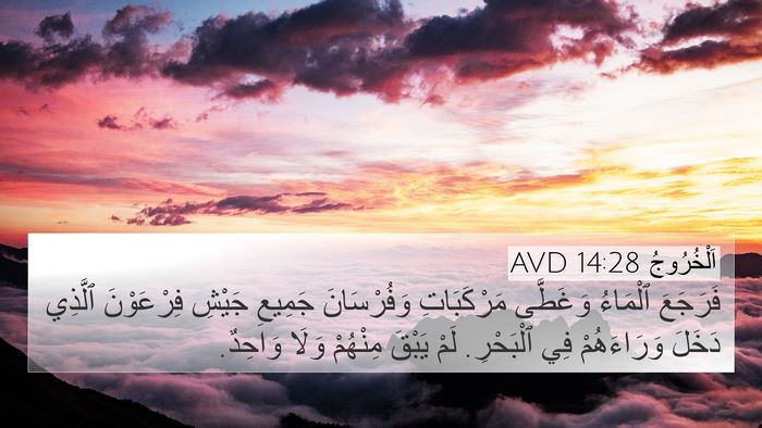 اَلْخُرُوجُ 14:28 AVD Bible Verse Image