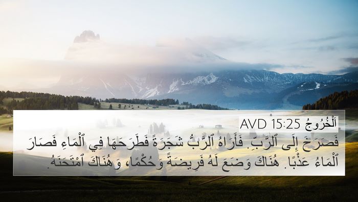 اَلْخُرُوجُ 15:25 AVD Bible Verse Image