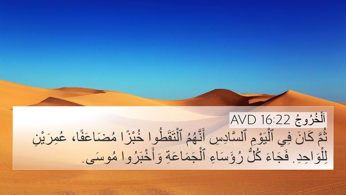 اَلْخُرُوجُ 16:22 AVD Bible Verse Image