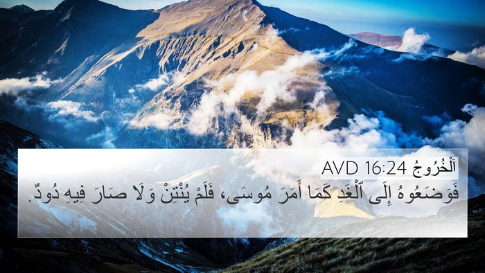 اَلْخُرُوجُ 16:24 AVD 4K Wallpaper - فَوَضَعُوهُ إِلَى ٱلْغَدِ - 4K Wallpaper Bible Verse